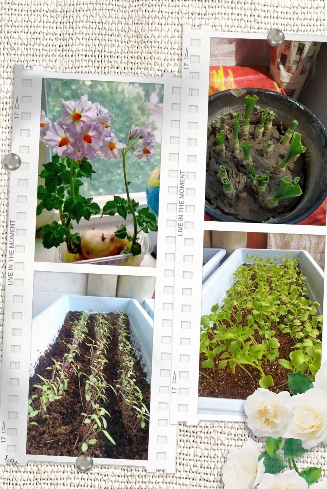 110903358.jpg 微信圖片_20220512110851.jpg